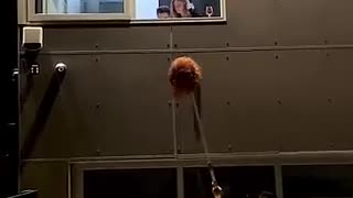 Viral: Best Scare Prank On Couple...