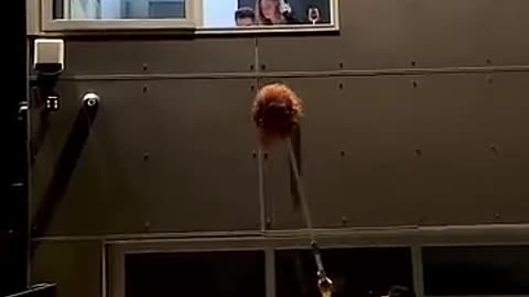 Viral: Best Scare Prank On Couple...