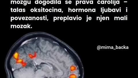ljubav m