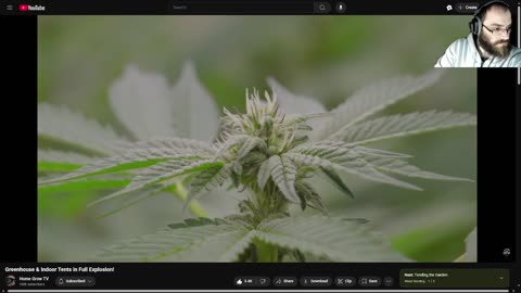 Burg's Lounge.. Weed Nerding Then Some GTA Online? #Live #420 #WeedNerding