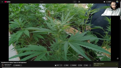 Burg's Lounge.. Weed Nerding Then Some GTA Online? #Live #420 #WeedNerding