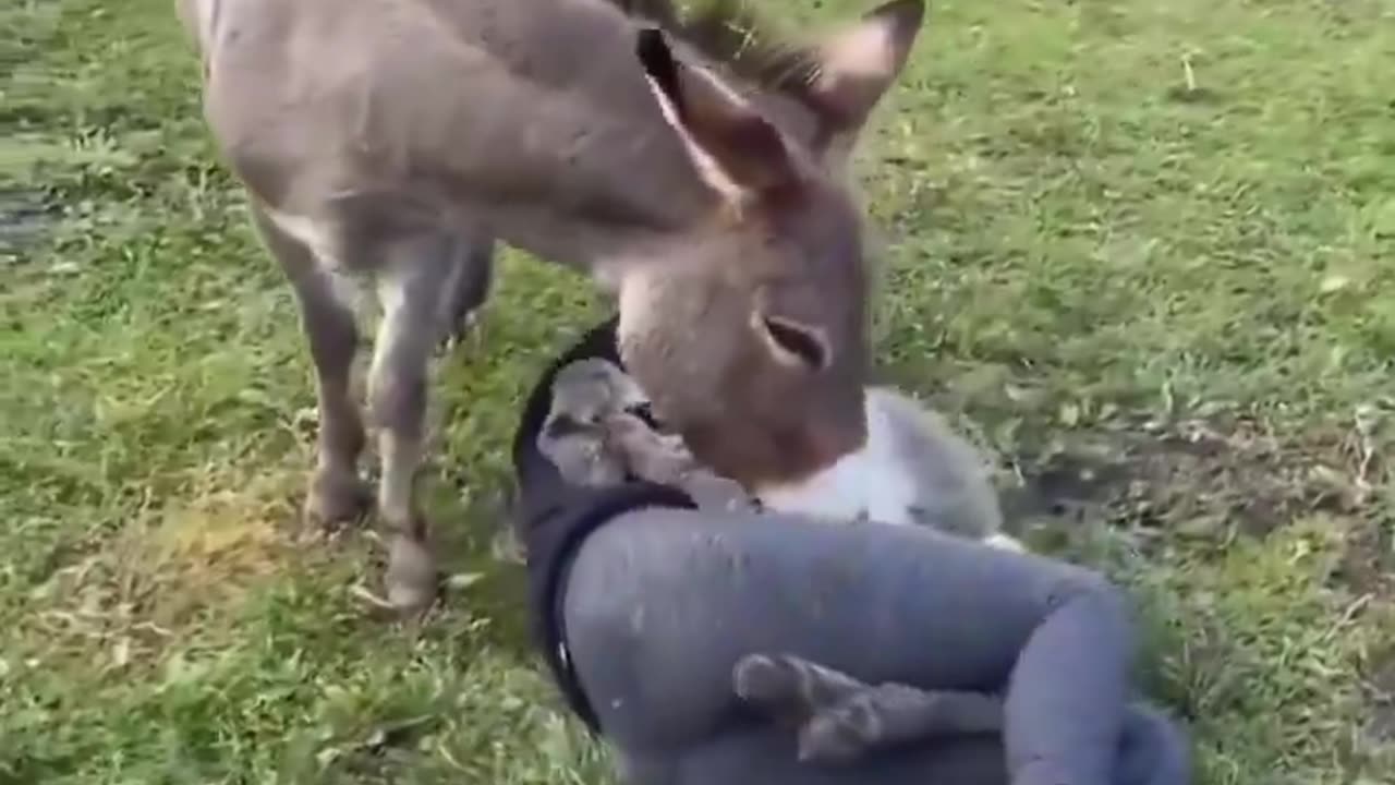 Woe! Woe! Woe! Day 50. Waiting for GOD to open the Door for a spring/summer Pentecost rapture