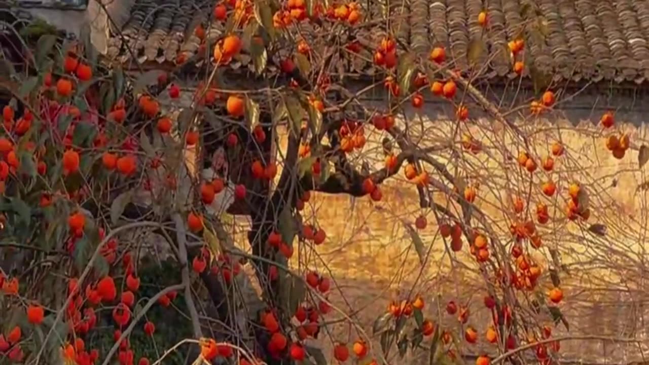 enjoy red fruit heaven