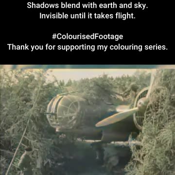 Soviet Troops Conceal a Bomber #ColourisedHistory