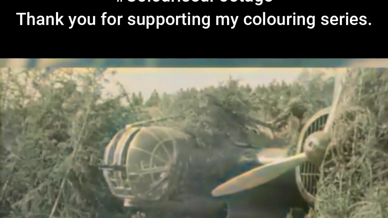 Soviet Troops Conceal a Bomber #ColourisedHistory