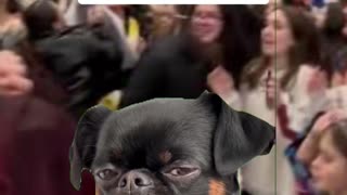 How do I get my wife to stop talking?