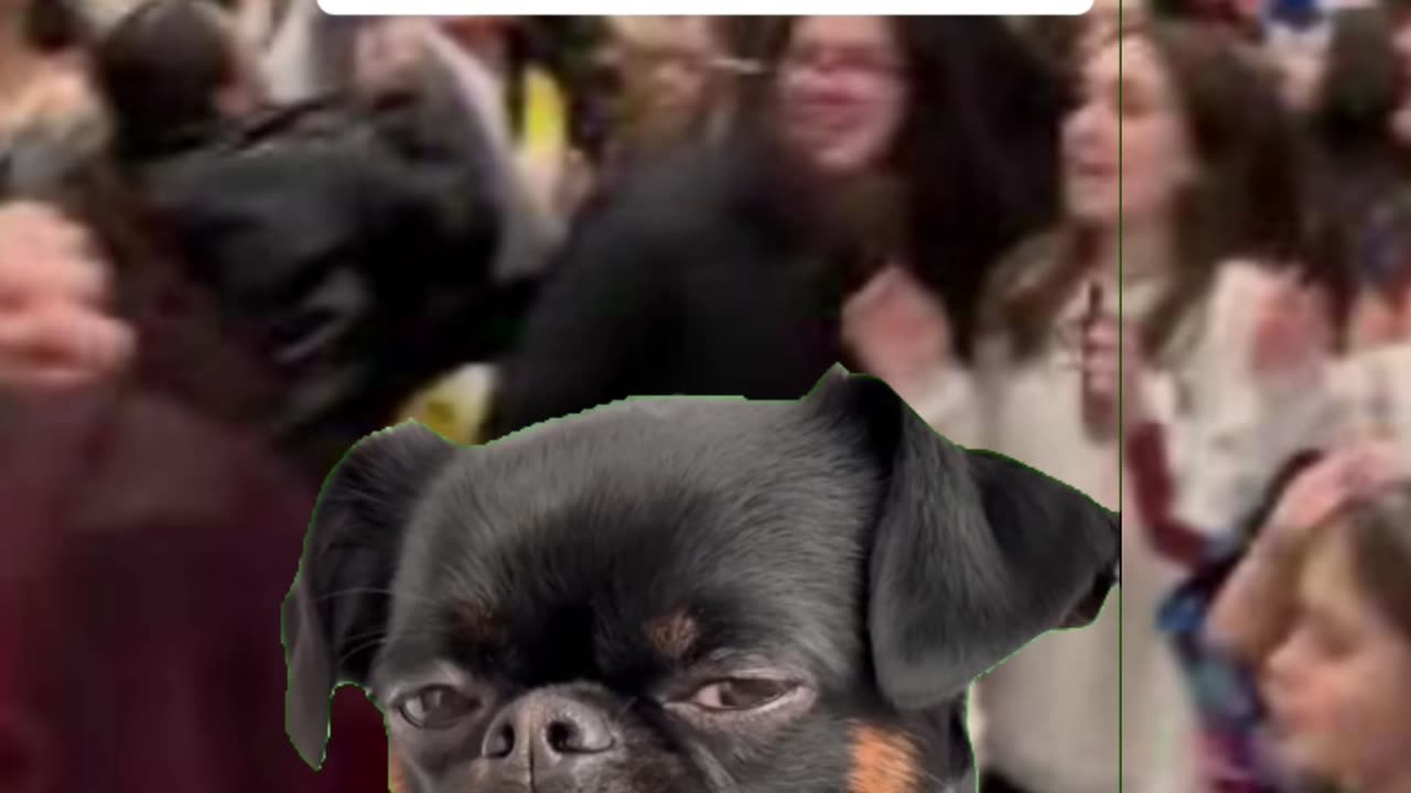 How do I get my wife to stop talking?