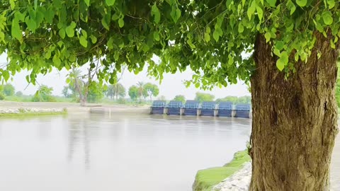 The Enchanting Village A Journey to Peace and Simplicity ❤ #maxrecords #vlog #trending