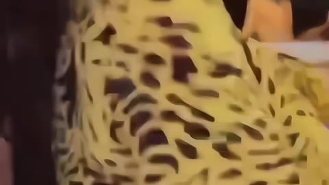 Vera sidika