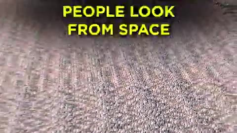 Population Hoax