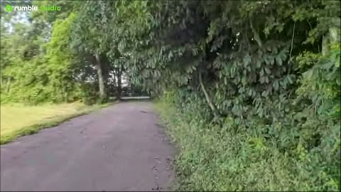 Every Trail at Joe Ford Nature Center
