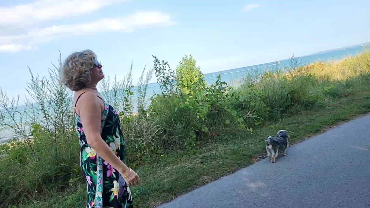 Walk from Burlington to Hamilton along beach