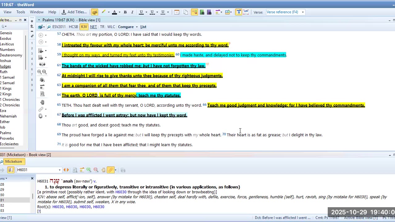 Bible Study Psalms 119 Pt 3