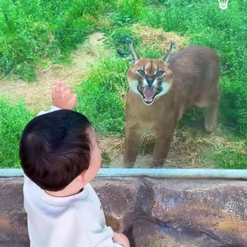 Sometimes the most beautiful moments need no words!.hd