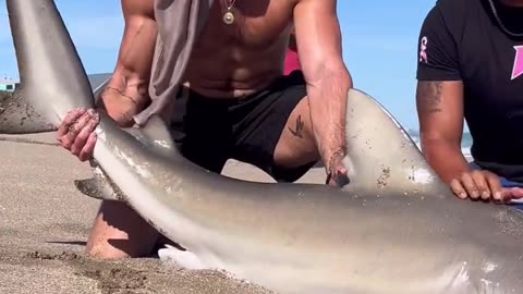 Fishing 🦈