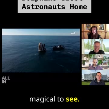 Dolphins Greet Astronauts Home #spacex #allin #podcast #trndgtr