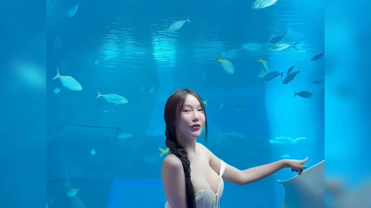 Captivating Beauties: Enchanting Sirens Beneath the Aquarium
