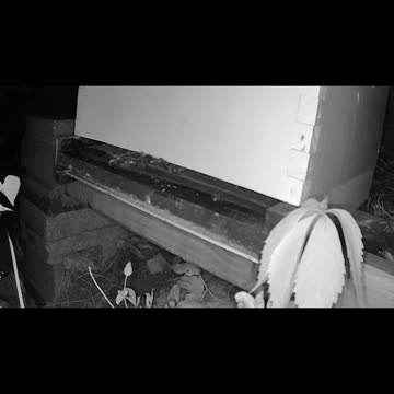 Wednesday Morning Peek