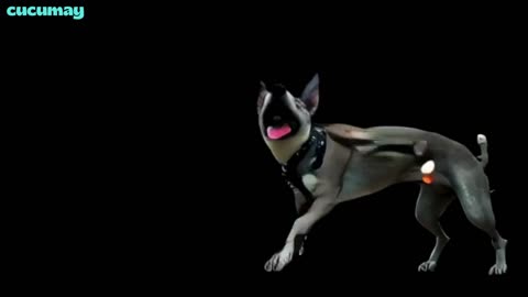Village Dog Becomes Night Security Guard
