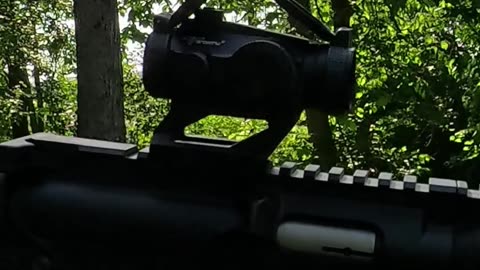 M&P 15/22 POV