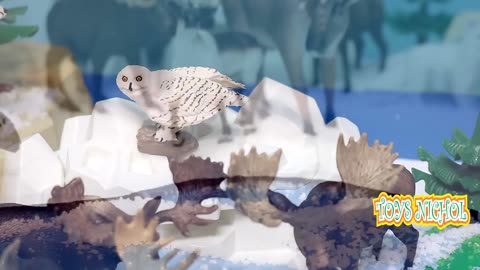 Polar Bears Make Homes in Deep Snowdrifts to Hibernate