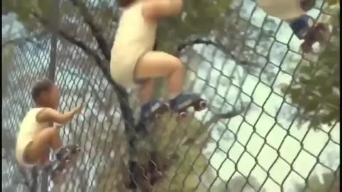 Funny video