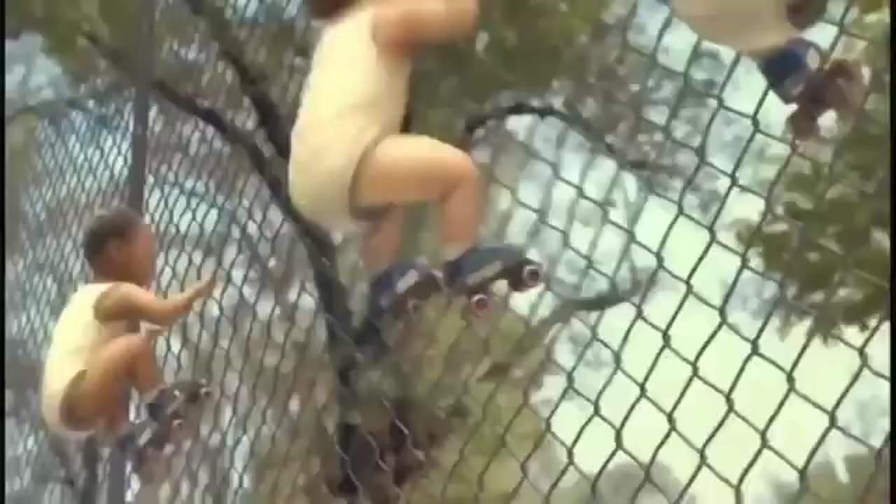 Funny video
