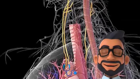 why your nerves fail and your feet burn - FitDrop