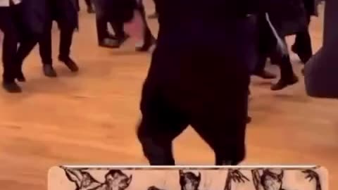 Creatures of the night