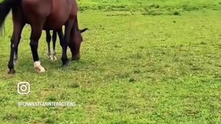 😂💥 Ram His Butt! The Funniest Prank Ever! | FunFM