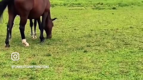 😂💥 Ram His Butt! The Funniest Prank Ever! | FunFM