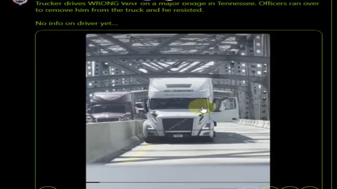 Another Migrant Drives The Wrong Way In 18 Wheeler and Resist Arrest