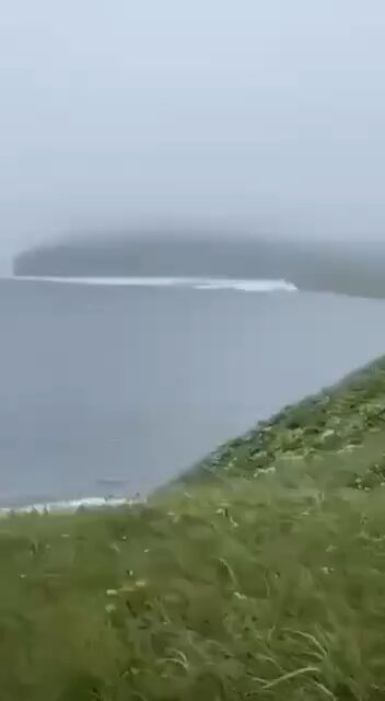 WILD FOOTAGE: Man walking his dog captures moment tsunami waves reach Russia's Kamchatka Peninsula