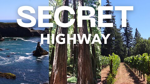 California's Magical Redwood Road to Wine Country