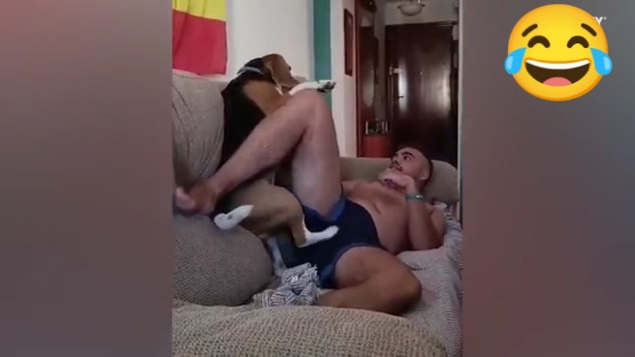 Go to see a doctor if you don't laugh after watching this video