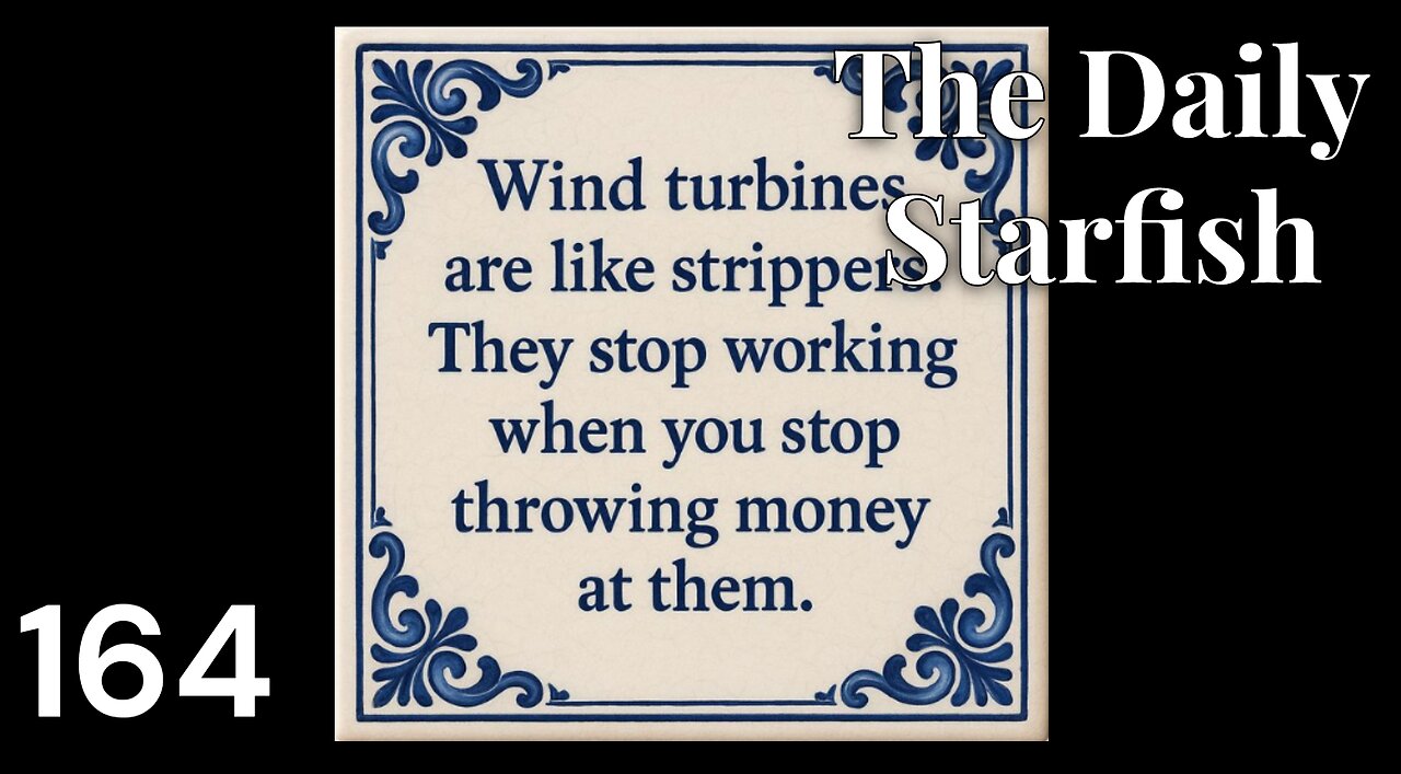 The Daily Starfish #164 #2025 #news