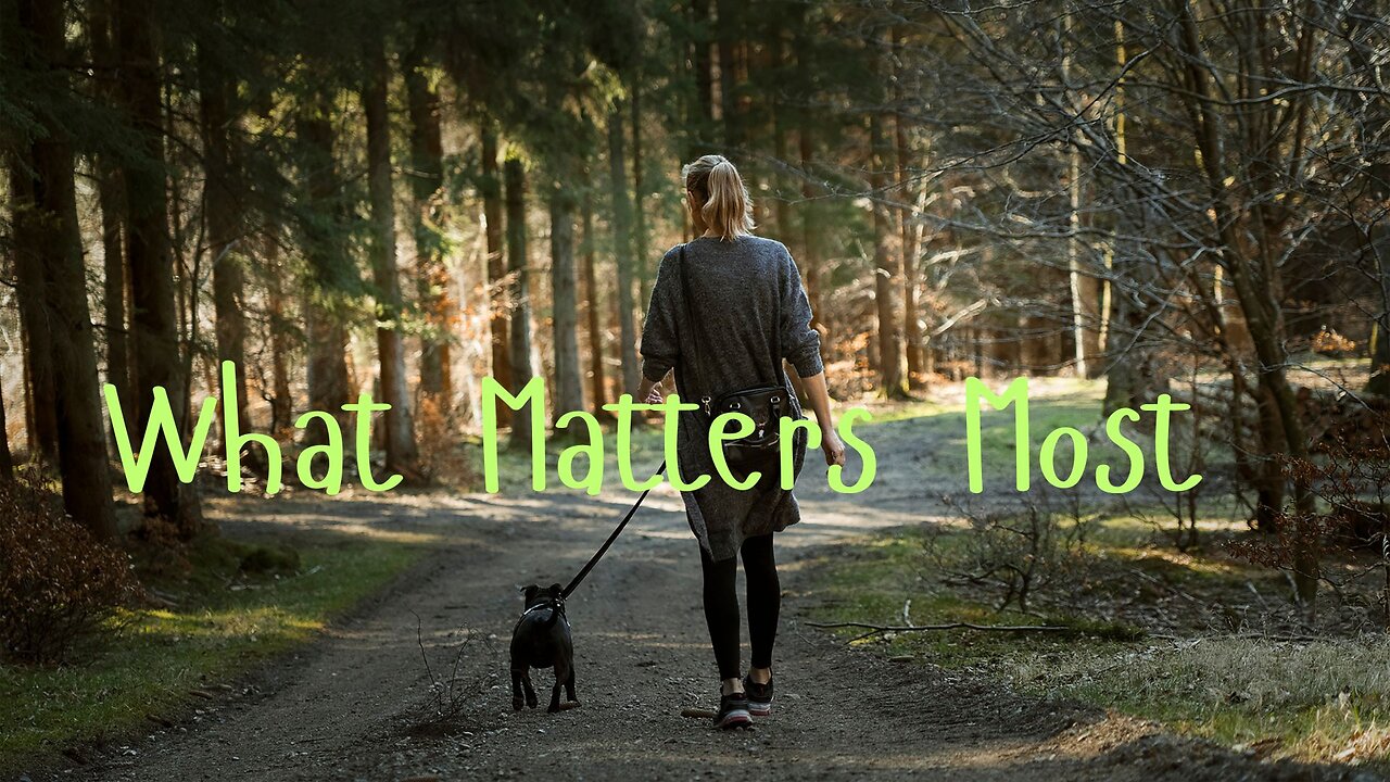 ✨ What Matters Most ∞ Thymus - Channeled by Daniel Scranton 08-22-25