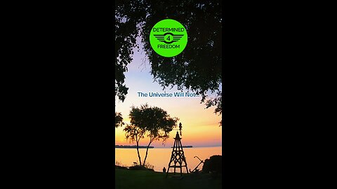 The Universe Will Not...