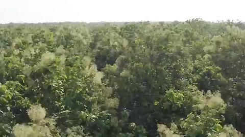 prime minister Narendra Modi inaugurates vantara jamnagar, gujrat