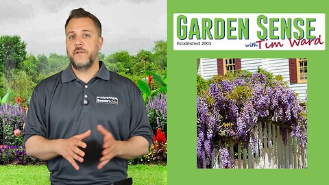 Garden Sense with Tim Ward - 06.04.25