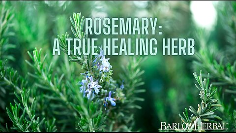 The Health Benefits of Rosemary