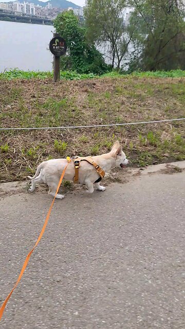 20250909. God Is Love.