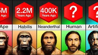 Comparison: Evolution Of Humans