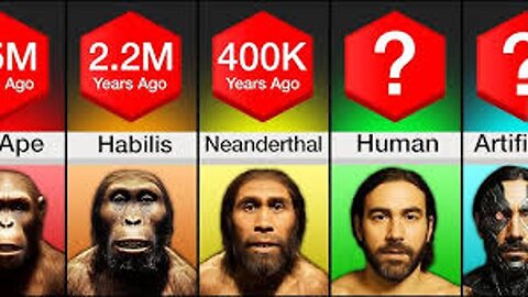 Comparison: Evolution Of Humans