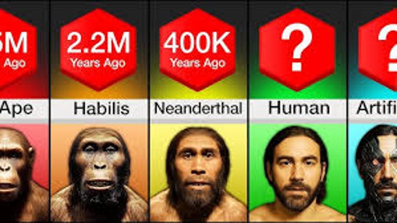 Comparison: Evolution Of Humans