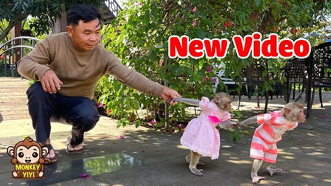 New Video: Grandpa takes YiYi and YinYin out for coffee on the weekend