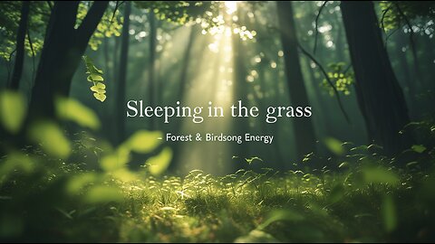 Sleeping in the Grass – Forest Energy and Birdsong (Shorts 4K)