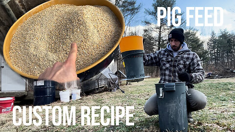 Homemade Kunekune Pig Feed Recipe | Grinding Custom Kunekune Feed