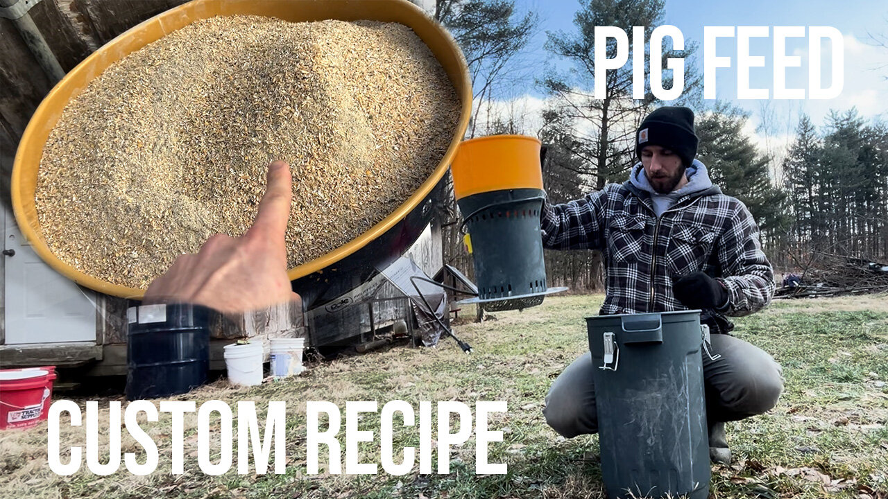 Homemade Kunekune Pig Feed Recipe | Grinding Custom Kunekune Feed