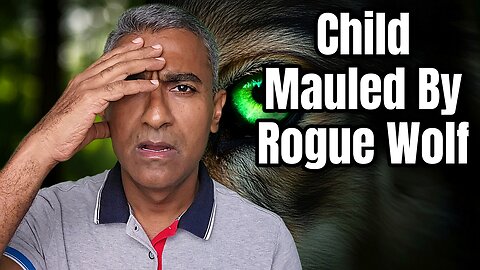 Child-Hunting Wolf Named Bram Drags 6-Year-Old Boy Away in Front of Terrified Mother in Netherlands